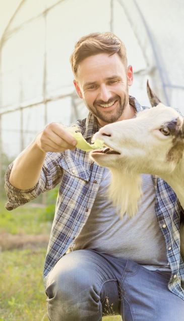 Посещение фермы