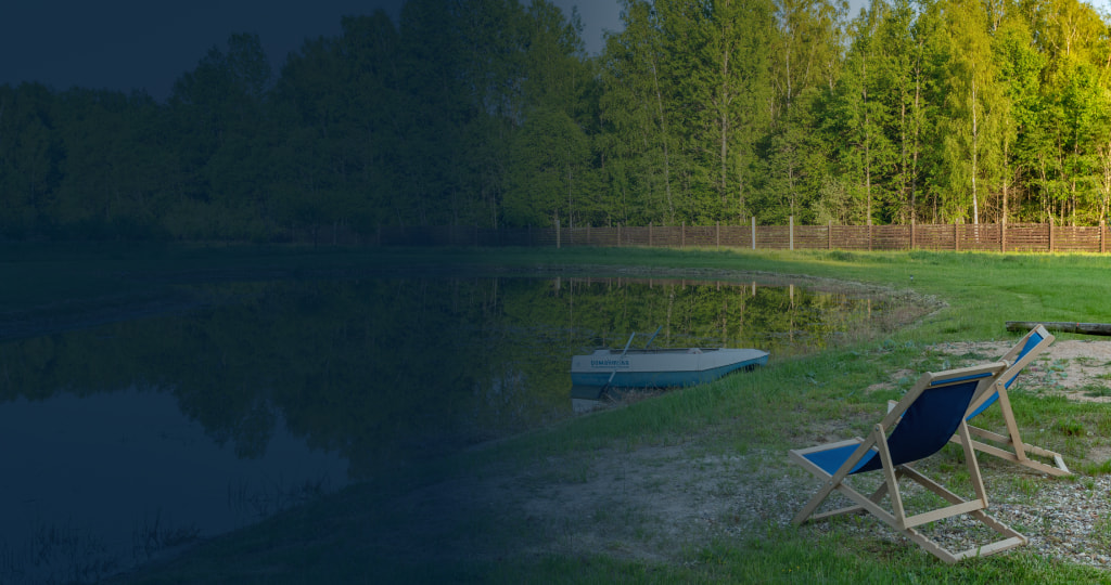 Березовая роща и пруд