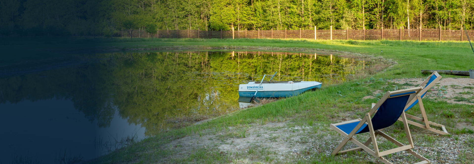 Березовая роща и пруд