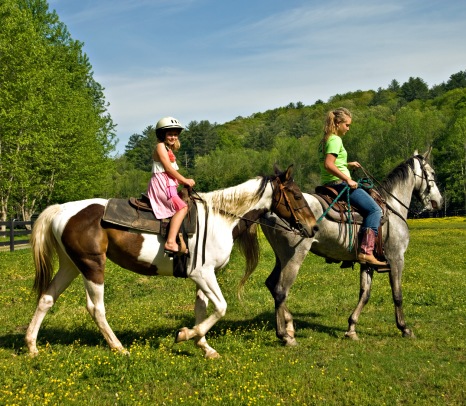 Интересы для всей семьи