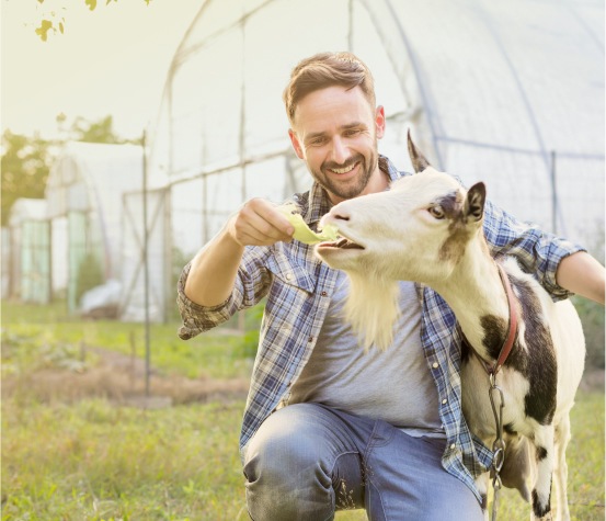 Посещение фермы